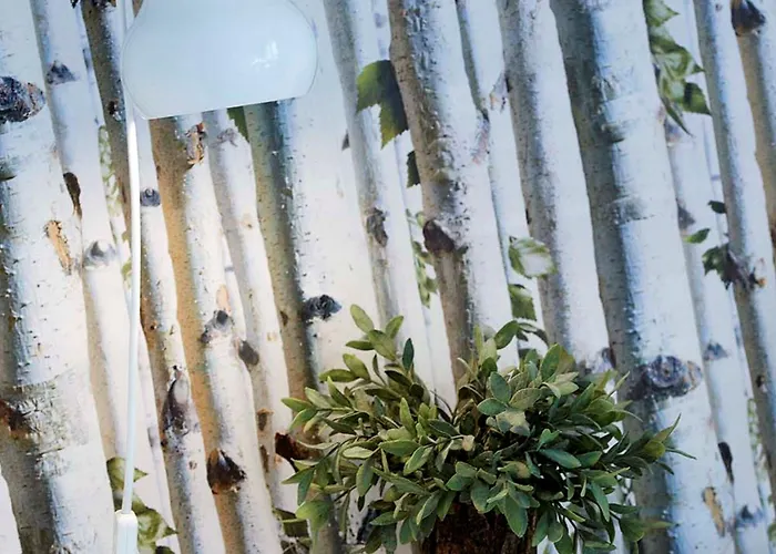 公寓式酒店 Lhl公寓式酒店 3*